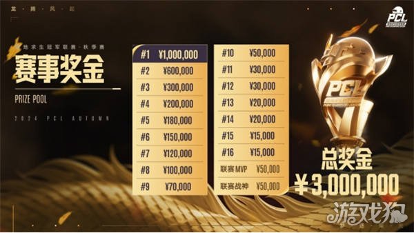 观赏性的表 观赏性的表